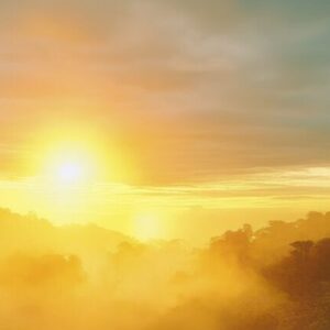 Está Tudo Bem Não Se Sentir Bem