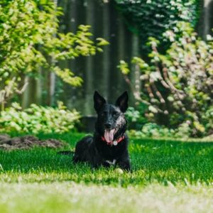 Como aprender a lidar com a inveja na sua vida