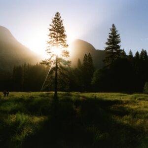 Como Viver O Agora E Não Se Importar Com O Amanhã