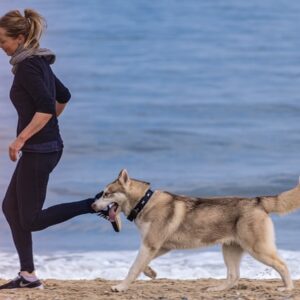 Quais Os Tipos De Câncer Do Aparelho Digestivo Que Mais Atacam Brasileiros