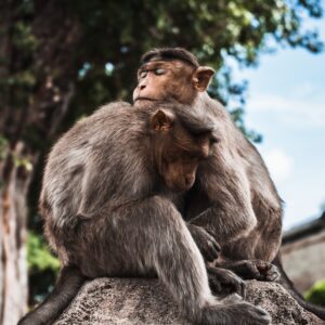 Como investir em Qualidade de vida?