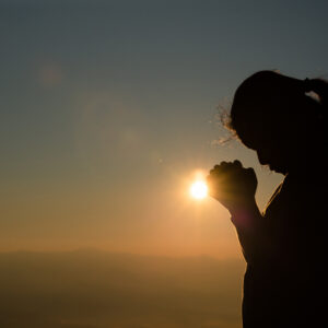 Descubra Como Usar a Paciência em Seus Sonhos