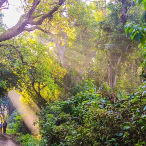 Como a Pascoa influencia o modo de encarar a vida?
